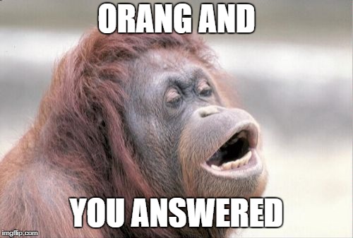 Orang and You Answered