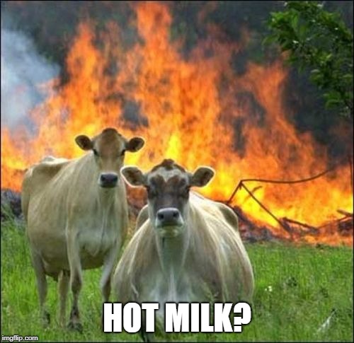 Hot Milk?